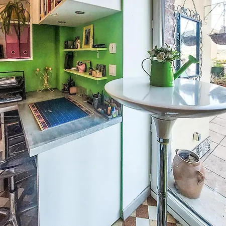 Apartment In Saint-etienne With Kitchen *